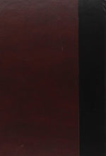 Load image into Gallery viewer, The Sandman Omnibus Vol. 1