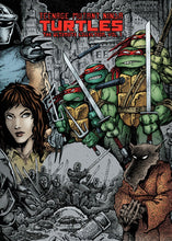 Load image into Gallery viewer, Teenage Mutant Ninja Turtles: The Ultimate Collection Volume 1 (TMNT Ultimate Collection)